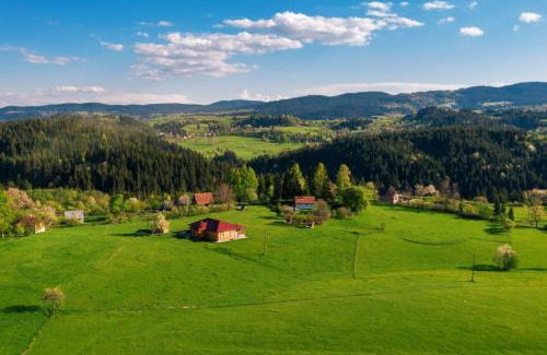 Zlatibor Cabin | Aronija Zlatar