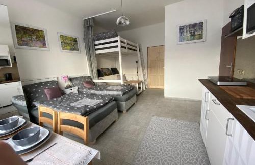 Plzen 2-Slovany Apartment | ARTep apartment