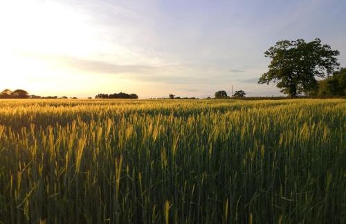 Hindolveston Other | Ashcroft Glamping