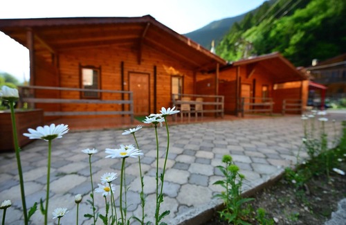 Uzungol Ski Chalet | Asproface Butiq Apart Bungalow