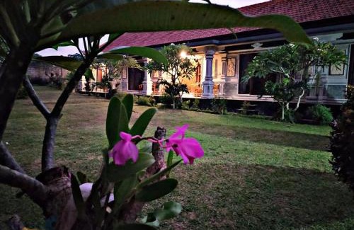 Pejeng Kawan House | Asri Dana