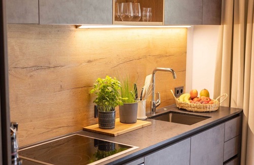 Bruck an der Grossglocknerstrasse Apartment | Lovely apartment for 4 people with WIFI, TV, balcony, pets allowed and parking