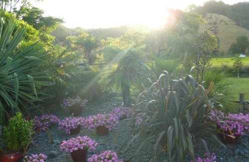 Whitianga Bed & Breakfast | At Parkland Place B&B