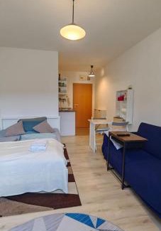 Trier Ost Apartment | At Sarah´s (Fully Equiped Studio)