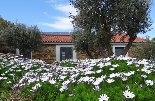 Mirina Cottage | Ataraxia at Saravari Beach - Olive House is one of two renovated stone cottages.