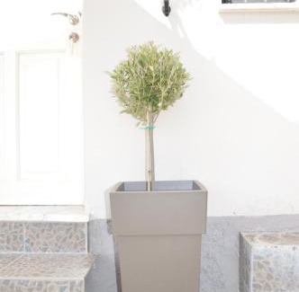Ipsos Apartment | Athina studios