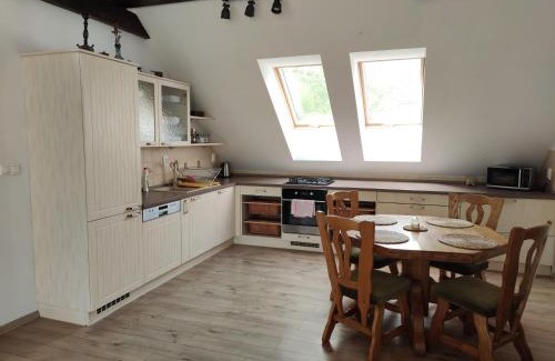 Piestany Apartment | Attic Parkview Apartment