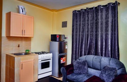 Mbotela Apartment | Attic Place South B