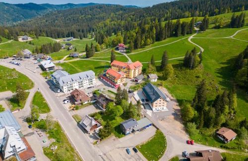 Feldberg Apartment | Auerhuhn