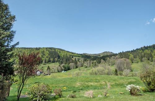 St. Blasien Apartment | Aufblühen in Menzenschwand