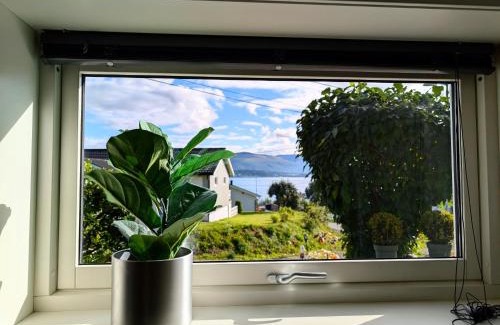 Tromso House | Aurora rooms in shared apartment nr1 We are doing privet northen light trip, reindeer trip and sommaroy Fjord trip