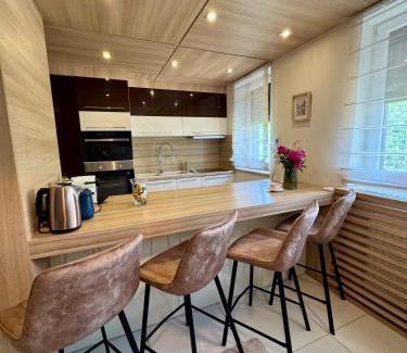 Nyiregyhaza Apartment | AVIRA Apartman with Free Private Garage