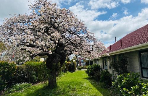 Palmerston North Hotel | Awatea Park Motel