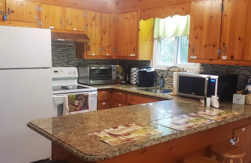 Long Pond Ski Chalet | Awesome HotTub,Pool,Firepit,Jacuzzi,Ev Charger