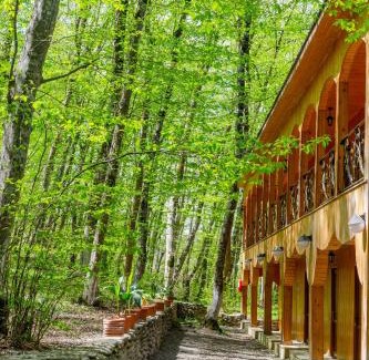 Quba Hotel | Aynur Resort