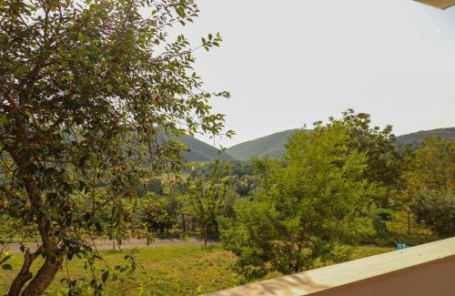 Cittaducale House | Azienda Agricola Sebastiani