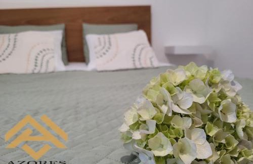 Praia da Vitoria Apartment | Azores village apartments