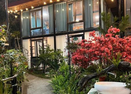 Tam Dao Apartment | Bách Xanh House. Nhà Gác Lửng