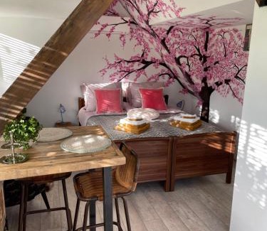 Drachten Apartment | Bêd & Brochje Bijzonder