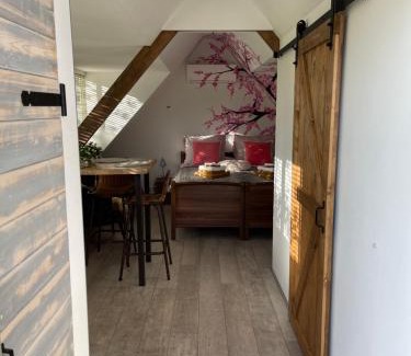 Drachten Apartment | Bêd & Brochje Bijzonder