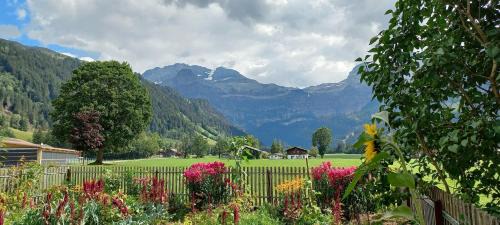 Lenk Apartment | Bühlerhof