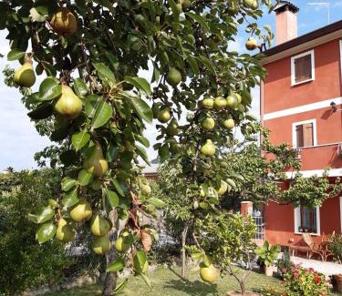 Soligo Bed & Breakfast | B&B Casa del Conte