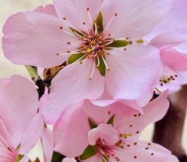 Cernusco sul Naviglio Bed & Breakfast | B&B Corte sul Naviglio CIN I T 0 1 5 0 7 0 C 1 3 X U I L Q C V