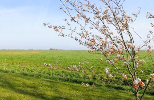 Municipality of De Friese Meren Bed & Breakfast | B&B de Friese Meren, helemaal privé voor jou!