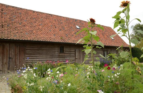 Izegem Bed & Breakfast | B&B De Hulst