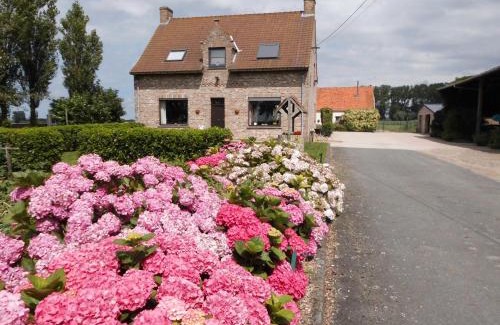 Stalhille Bed & Breakfast | B&B Het Polderhof