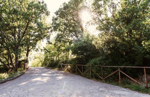 Santa Domenica Talao Bed & Breakfast | B&B Il giardino dei sogni