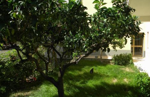 Diamante Bed & Breakfast | B&B Il Giardino Diamante