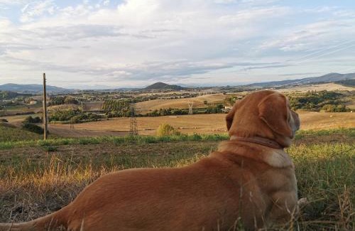 Castellina Marittima Bed & Breakfast | B&B Il Poggio di Fiore