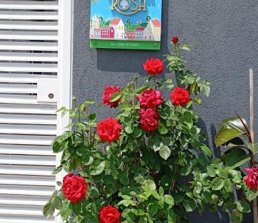 Castellaneta Bed & Breakfast | B&B Nonna Rosa