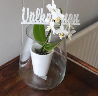 Froson Apartment | B&B på Frösön