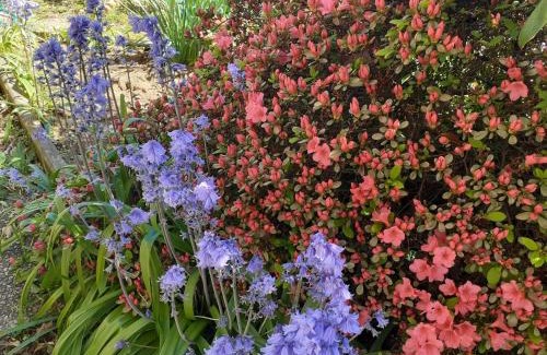 Cardano al Campo Bed & Breakfast | B&B Villa Bucceri