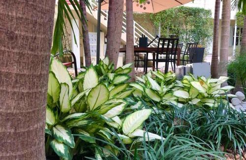 Edgewater Apartment | B01 Minutes from the beach Studio Midtown Wynwood
