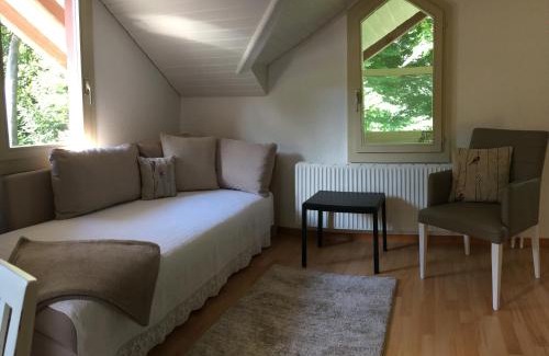 Gsteigwiler Apartment | B3 Apartment