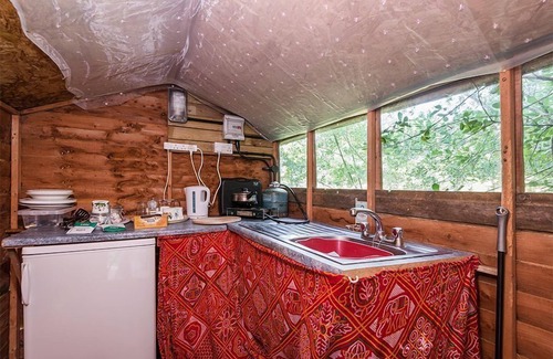 Whitchurch Canonicorum House | Baabara - Shepherds Hut - in Paddock with Alpacas & Sheep - Spa & Indoor Pool