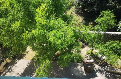 Makarska Apartment | Babić Rituals apartments