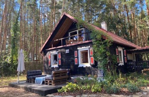Karniewek House | Babi Domek