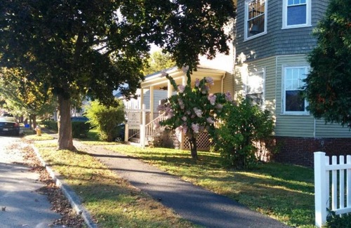 Back Cove Apartment | Back Cove Charmer Close to Everything