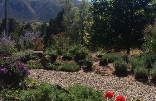 Basalt House | Back on the market and available for monthly or weekly winter rentals