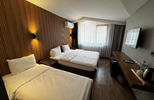 Edirne Hotel | Bademi Room