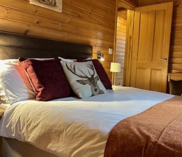 Lochearnhead Apartment | Balquhidder Braes Holiday Park Lodges, mostly with Hot Tubs and pet friendly, EV facilities