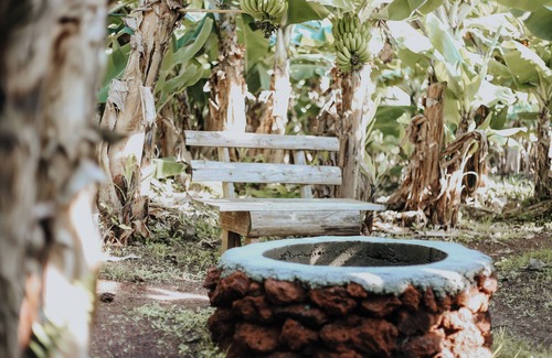 Angra do Heroismo Cabin | Banana Eco Camp