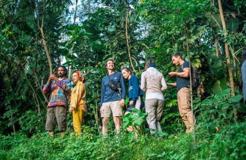 Nkoanrua Hostel | Banana Farm Eco Hostel
