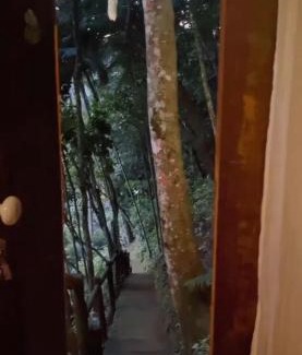 Sao Pedro da Serra House | Bangalô na Natureza
