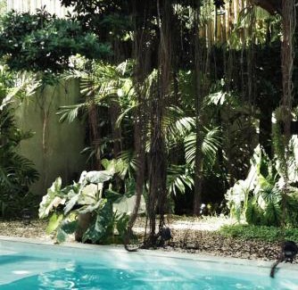Danao Villa | Banyan Villa Panglao with private pool