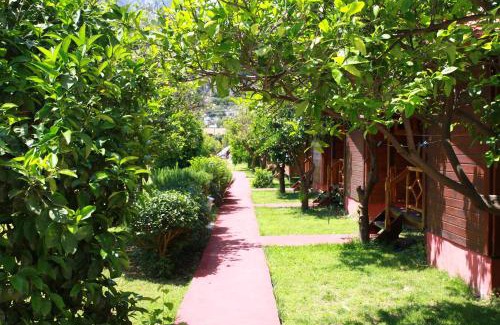 Cirali Resort | Baris Pension & Bungalows